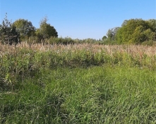 Купить  в Подмосковье, Ярославское ш.