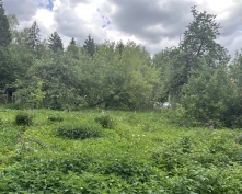 Купить  в Подмосковье, Можайское ш.