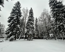 Купить  в Подмосковье, 