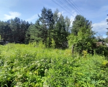 Купить  в Подмосковье, Горьковское ш.