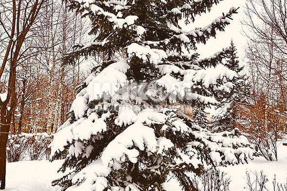 Коттеджный поселок Миллениум Парк: . Новорижское ш., 19 км от МКАД