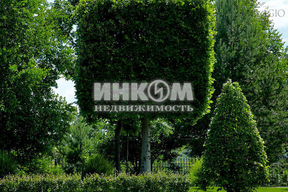 Коттеджный поселок Миллениум Парк: . Новорижское ш., 19 км от МКАД