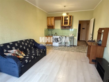 1-комнатная квартира, Новое Павлино мкр, Троицкая ул, 5