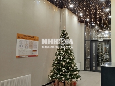 1-комнатная квартира, Мытищи г, Астрахова пр-кт, 1&nbsp;корп.3