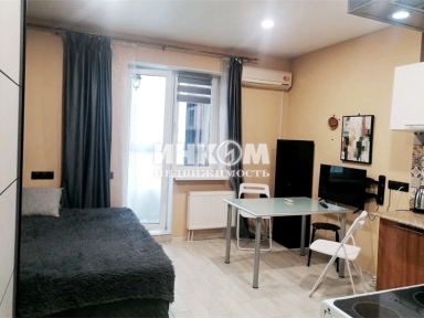 1-комнатная квартира, Пирогово д, Ильинского ул, 3