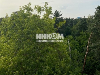 1-комнатная квартира, Максимова ул, 10