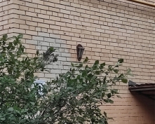 Купить однокомнатную квартиру в Москве, Вавилова ул