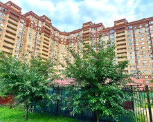 Купить трехкомнатную квартиру в Подмосковье, Лесная ул