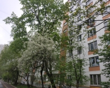 Купить трехкомнатную квартиру в Москве, Архитектора Власова ул