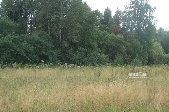 Коттеджный поселок Знаменка Парк: Участки. Минское ш., 115 км от МКАД