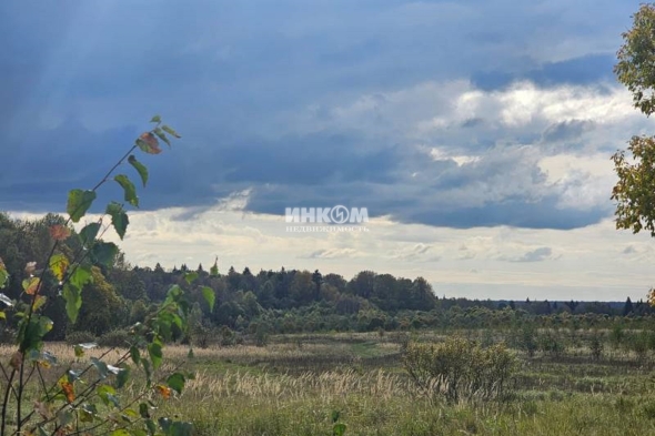 Коттеджный поселок Знаменка Парк: Участки. Минское ш., 115 км от МКАД