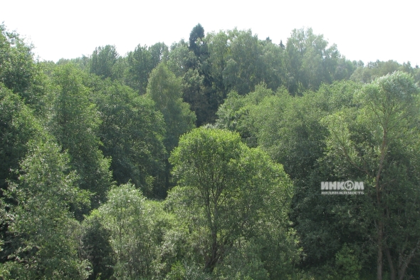 Коттеджный поселок Знаменка Парк: Участки. Минское ш., 115 км от МКАД