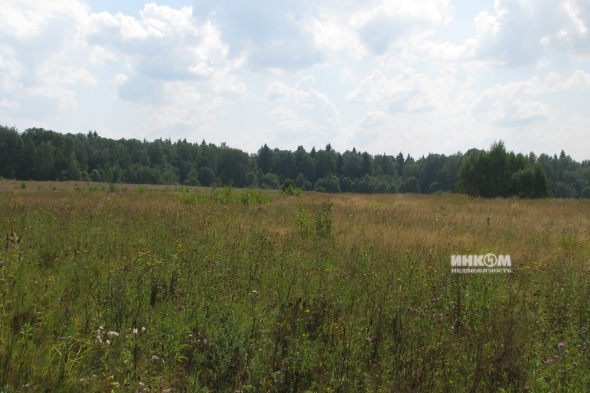 Коттеджный поселок Знаменка Парк: Участки. Минское ш., 115 км от МКАД