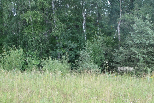 Коттеджный поселок Знаменка Парк: Участки. Минское ш., 115 км от МКАД