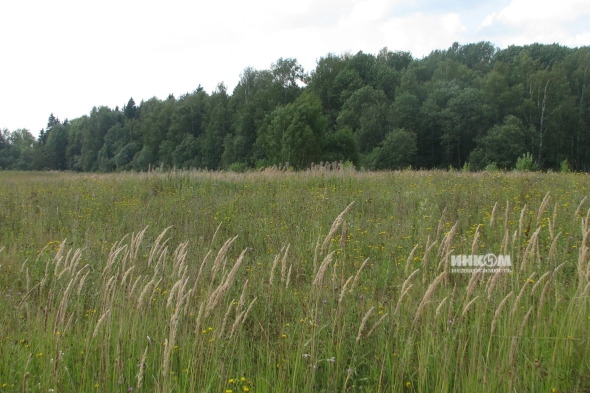 Коттеджный поселок Знаменка Парк: Участки. Минское ш., 115 км от МКАД
