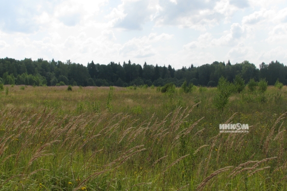 Коттеджный поселок Знаменка Парк: Участки. Минское ш., 115 км от МКАД