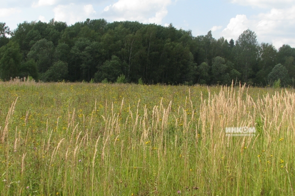 Коттеджный поселок Знаменка Парк: Участки. Минское ш., 115 км от МКАД