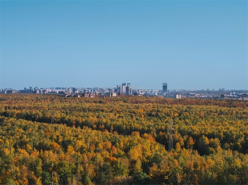 Купить квартиру в новостройке Москва Красная Сосна ул ЖК Настроение