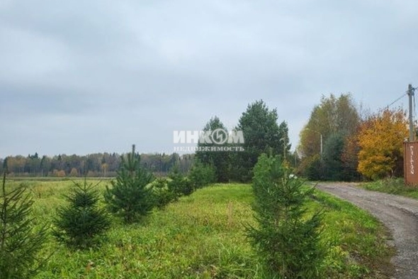 Коттеджный поселок Усадьбы Горки: Участки. Рогачевское ш., 42 км от МКАД