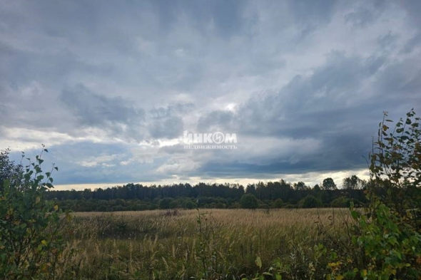 Коттеджный поселок Знаменка Парк: Участки. Минское ш., 115 км от МКАД